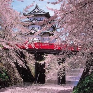 Meet your Posher, Bradley